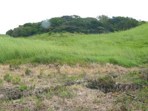 The hills rise steeply above the condominums to the forested hilltops.